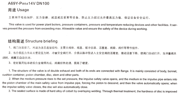 A69Y-Pw5414V DN100